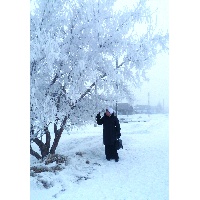 Хайновская Лариса Дмитриевна