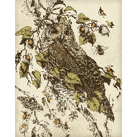 Дюндюкова Юлия Олеговна