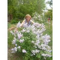 Харина Светлана Степановна