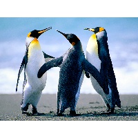 Липатова Наталья Александровна