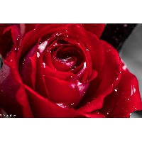 Ботезату Светлана Ивановна