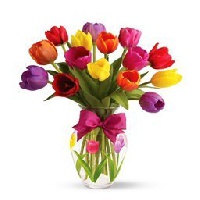 Плошкова Галина Сергеевна