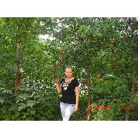 Шихранова Юлия Николаевна