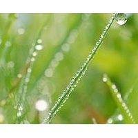 Ерофеева Ирина Викторовна