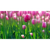 Дубина Татьяна Михайловна