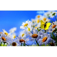 Шушай Наталья Владимировна