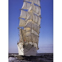 Самигуллина Гульнур Сиреновна