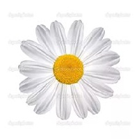 Фадеева Ирина Владимировна