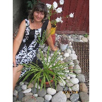 Епифанова Нина Геннадьевна