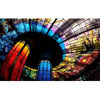 Толстенева Светлана Владимировна