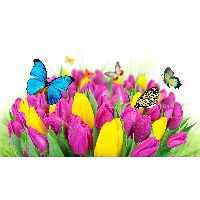 Белоус Юлия Евгеньевна