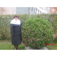 Птицына Александра Геннадьевна