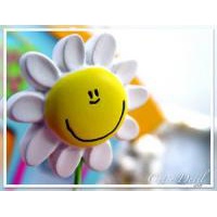 Белкина Анастасия Игоревна