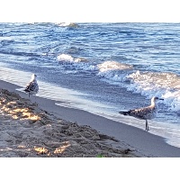 Панасюк Инна Викторовна