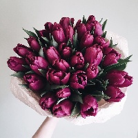 Раевская Оксана Дмитриевна