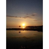 Фомина Дарья Алексеевна