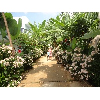 Артамошкина Лариса Владимировна