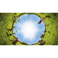 Курбатова Юлия Сергеевна 