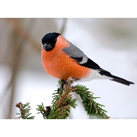 Карташова Татьяна Юрьевна