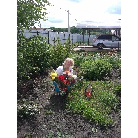 Миколенко Светлана Васильевна