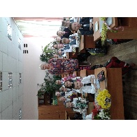 Володина Светлана Ильинична