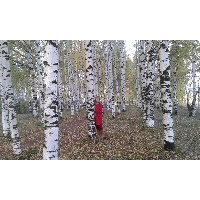 Денисова Нина Ивановна