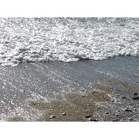 Никитина Светлана Кирилловна