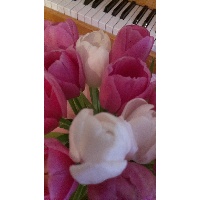 Шариева Румия Фанильевна