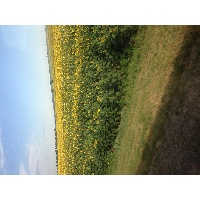 Шатова Зарина Яхияевна