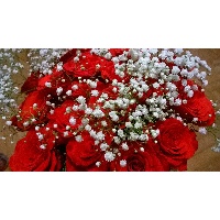 Кузяйкина Ольга Леонтьевна