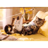 Горыничева  Марина Сергеевна