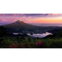 Ровенская Лариса Григорьевна