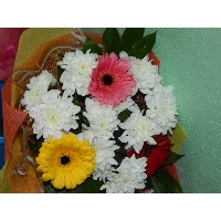 Великанова Елена Дмитриевна