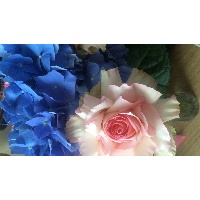 Хватова Людмила Михайловна