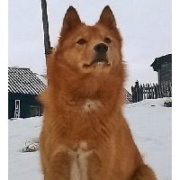 маркина татьяна николаевна