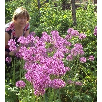 Синицина Светлана Ивановна