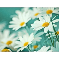 Яцких Людмила Станиславовна