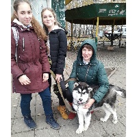 Мальцева Елена Ивановна