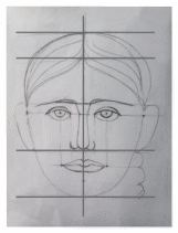 пропорции копия.jpg