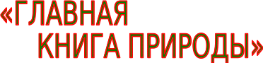 Shape1