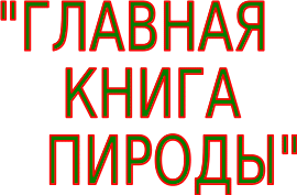 Shape3
