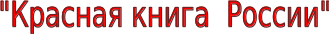 Shape12