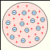 Shape8