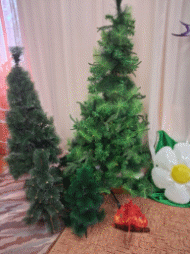 Picture 5