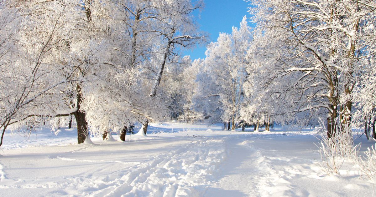 Двигательная активность дошкольников в зимний период