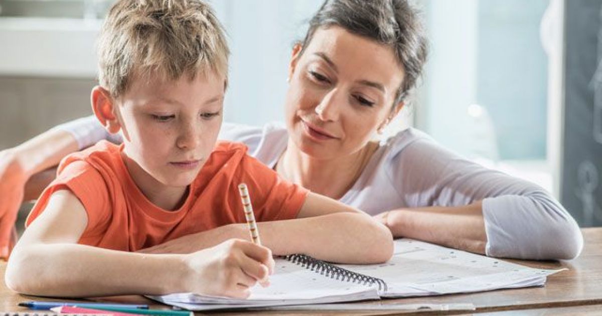 Сборник готовых домашних заданий: вред или польза?