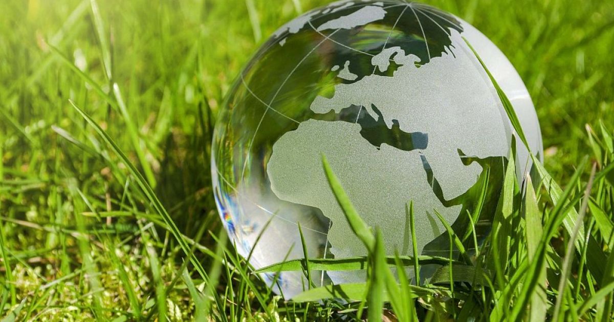 Из опыта реализации школьной модели экологического образования: Экологический Дневник