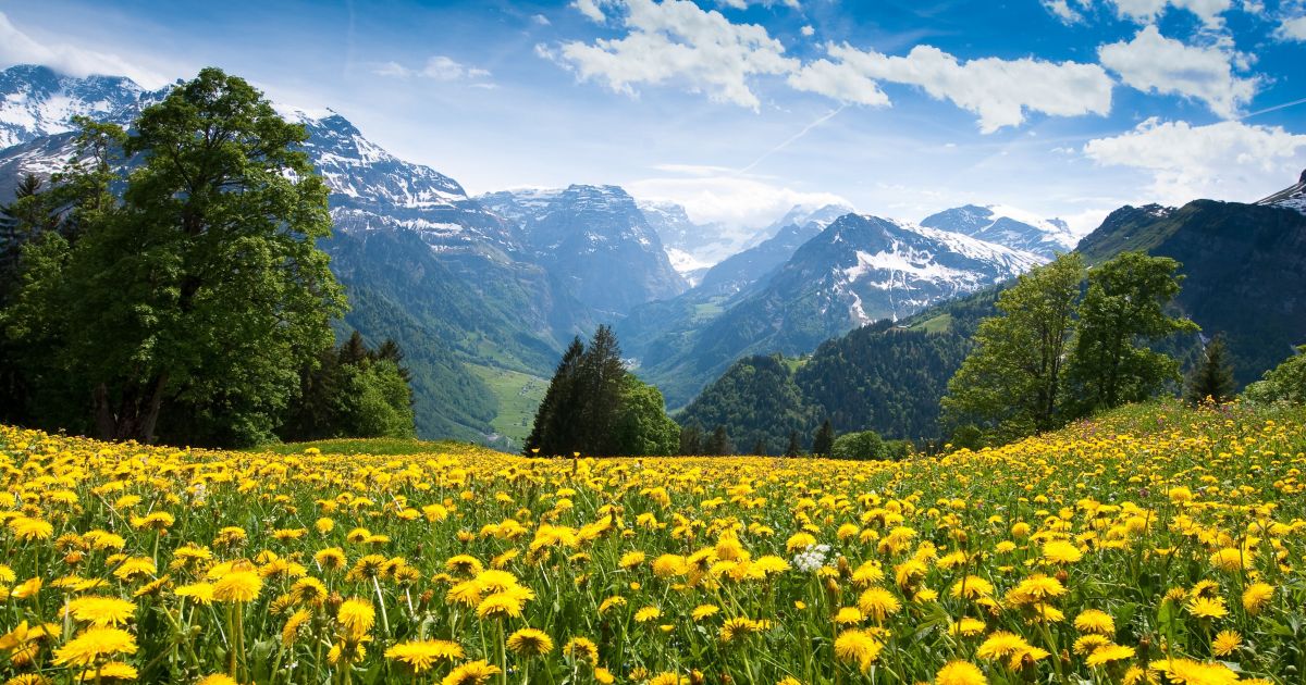 Развитие познавательных интересов к природе и воспитание элементов экологической культуры у дошкольников посредством регионального компонента