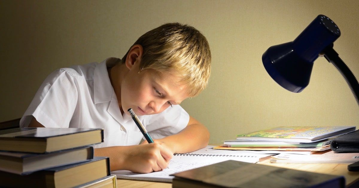 Мнение эксперта об обратной стороне дистанционного обучения