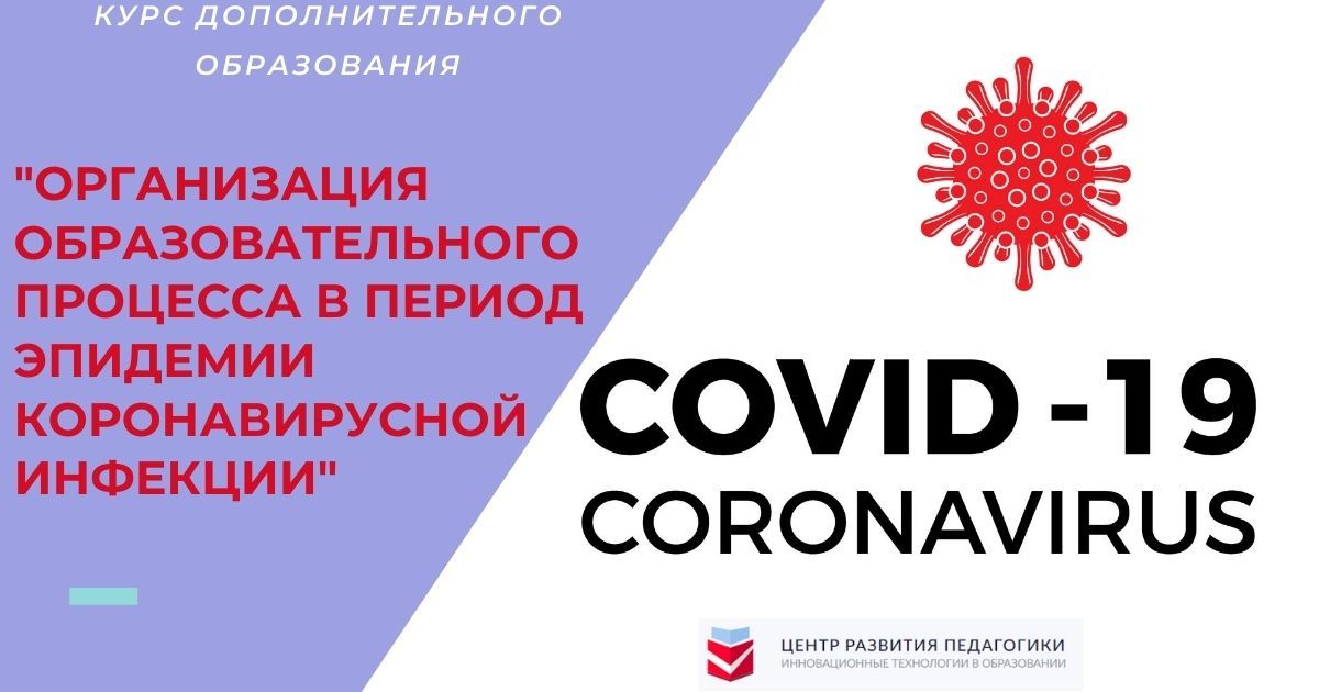 Организация образовательного процесса в период эпидемии коронавирусной инфекции